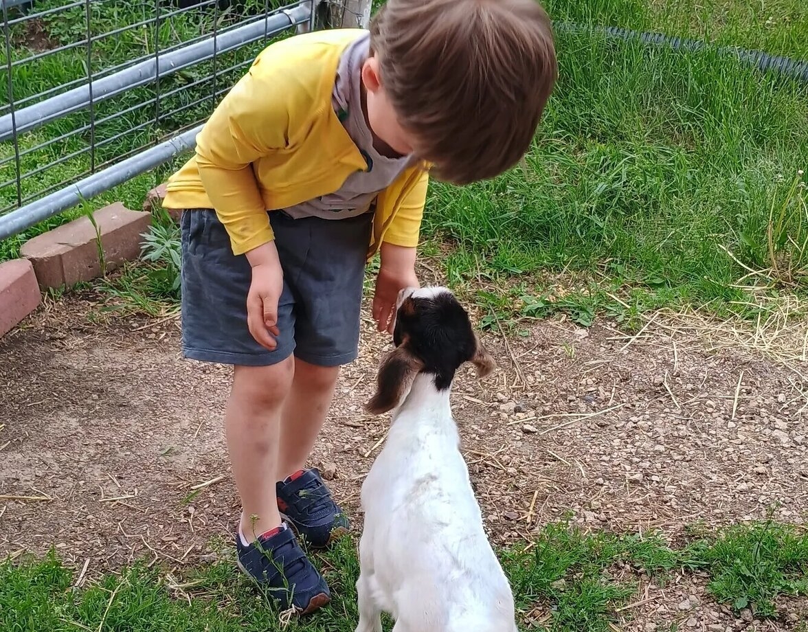 Image of kids interacting with animals at a petting zoo during a Harvest Hosts stay