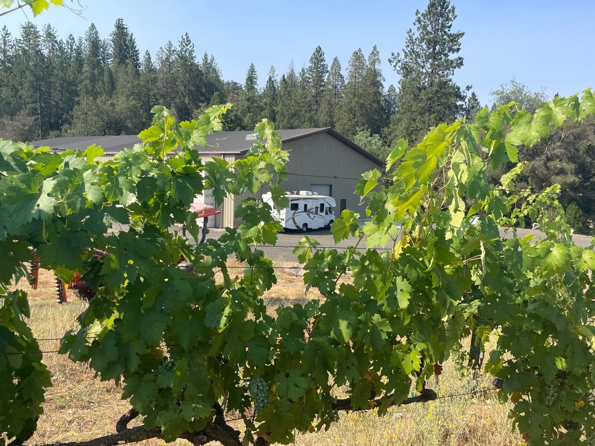 Image of a picturesque vineyard at a Harvest Hosts location