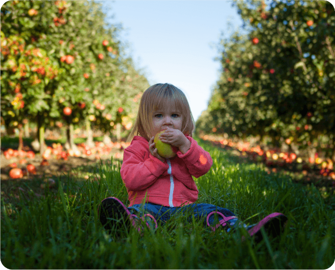 Image of a delightful apple orchard at a Harvest Hosts location