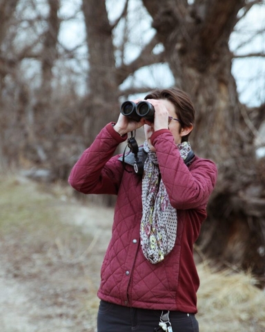 Birdwatching Delights