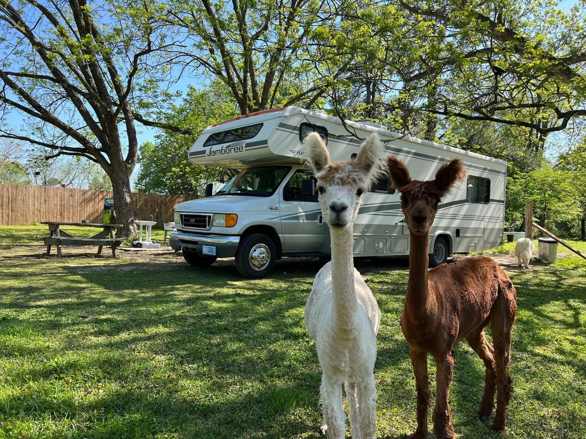 Imagine Camping With Your Family at These Picturesque Hosts