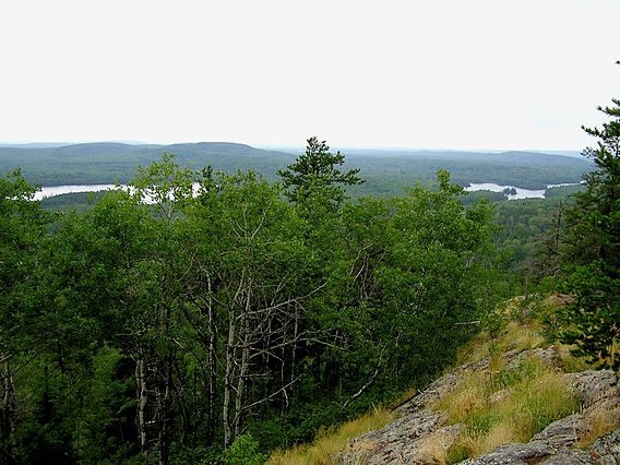 Scenic view of Minnesota landscape