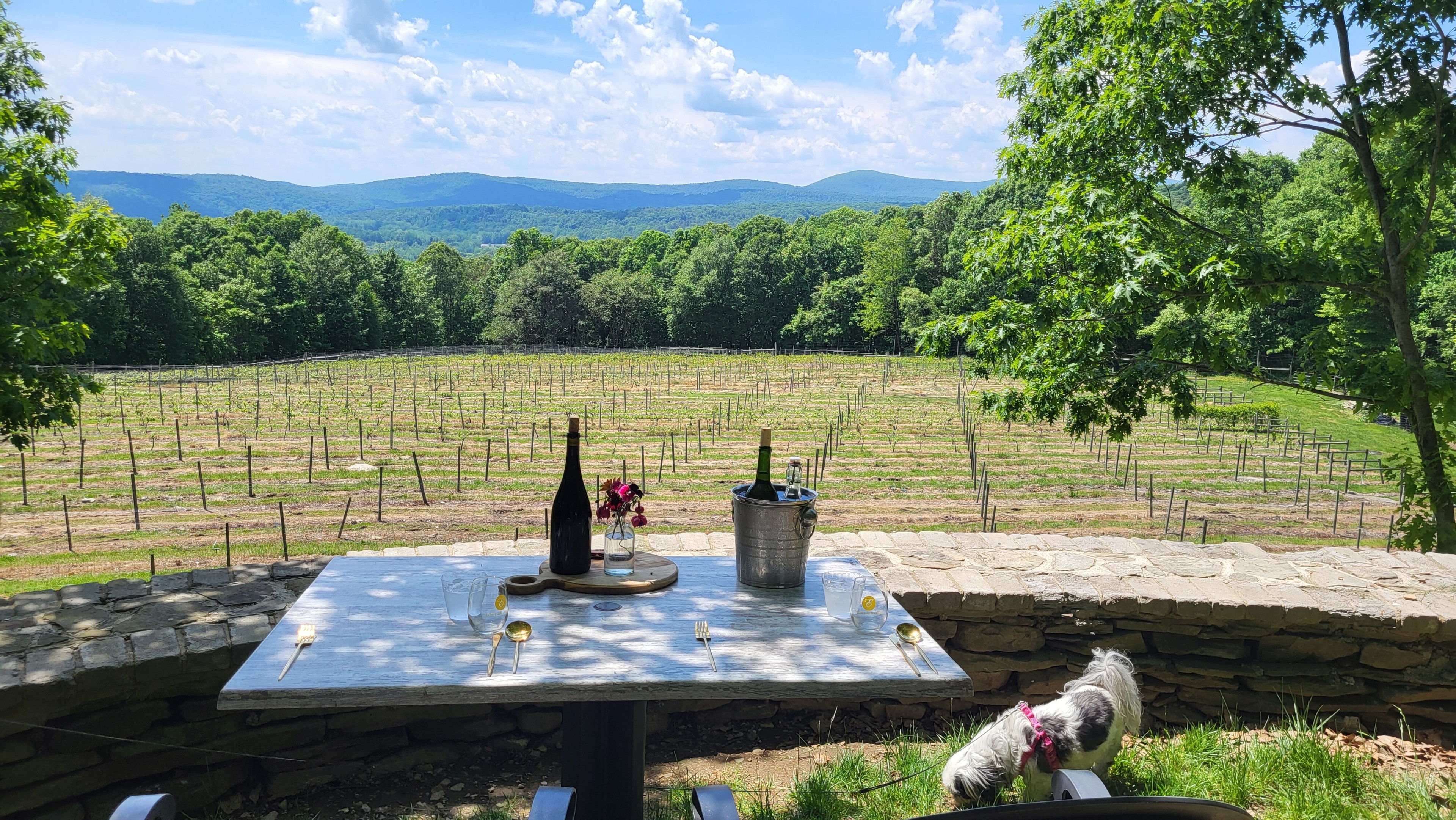 Meet the Hosts Behind Endless Mountains Vineyards