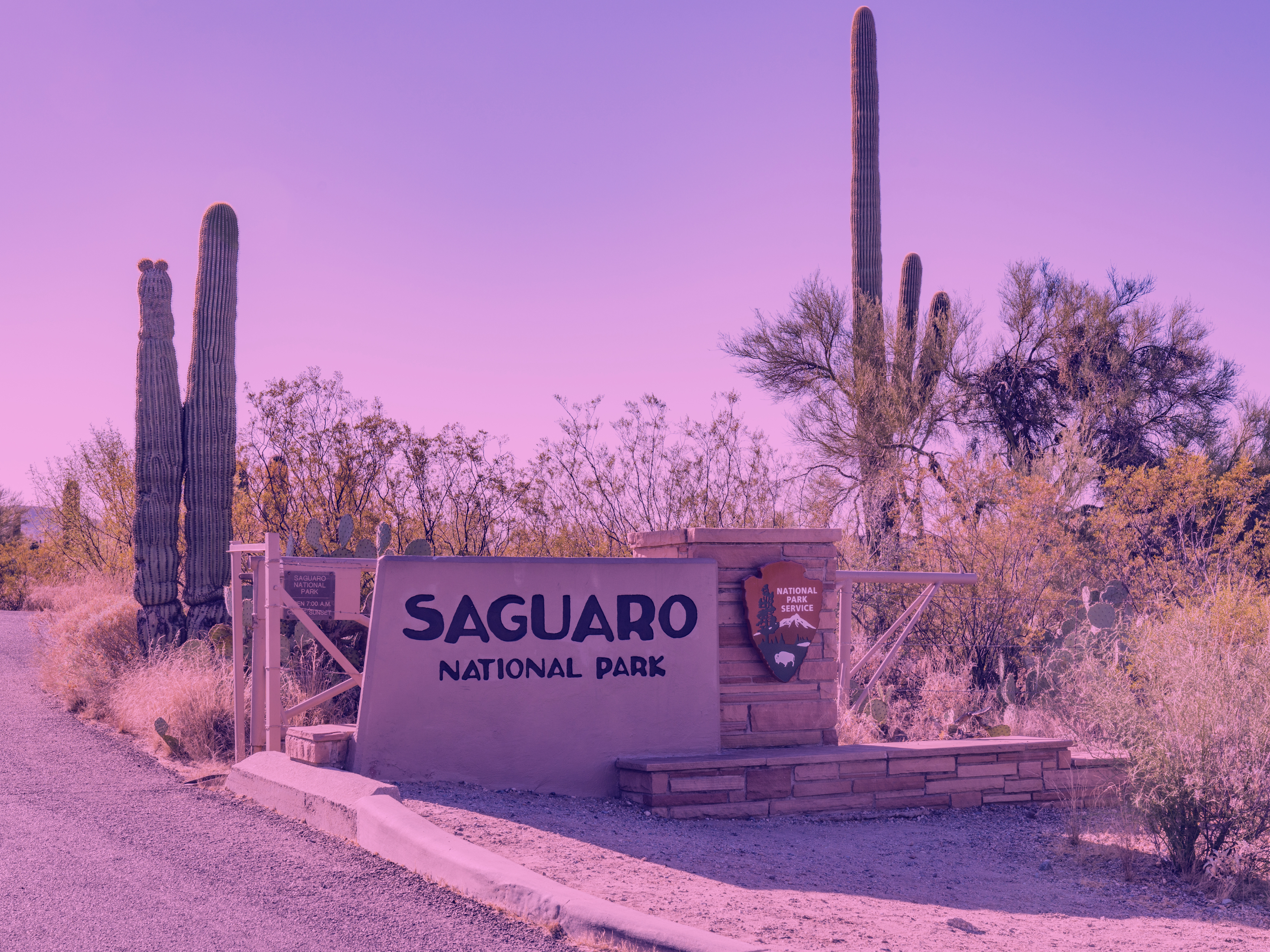 Discover the Best Hiking Trails for RV Campers in Saguaro National Park