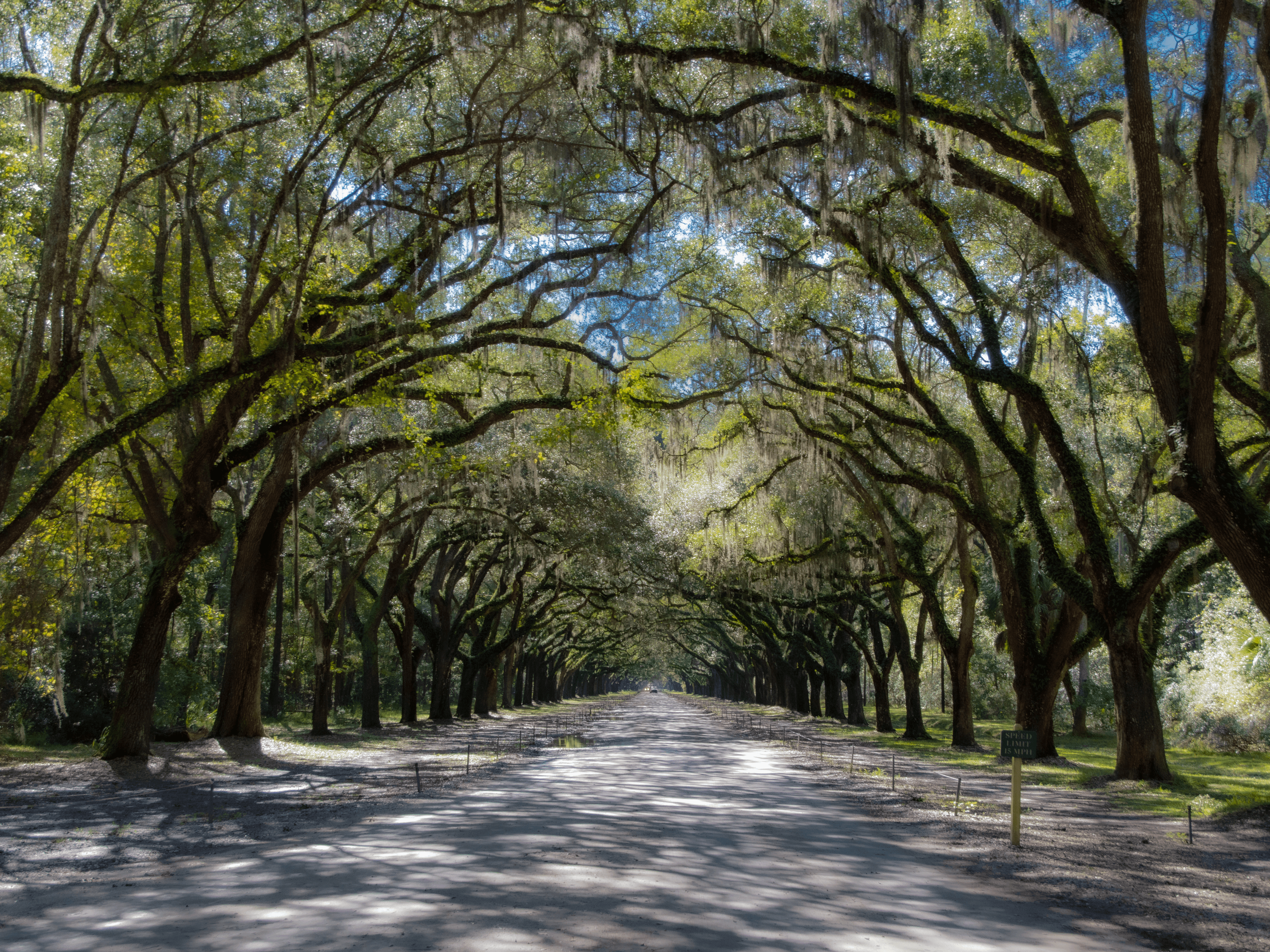 Discover the Best Hiking Trails for RV Campers near Savannah, GA