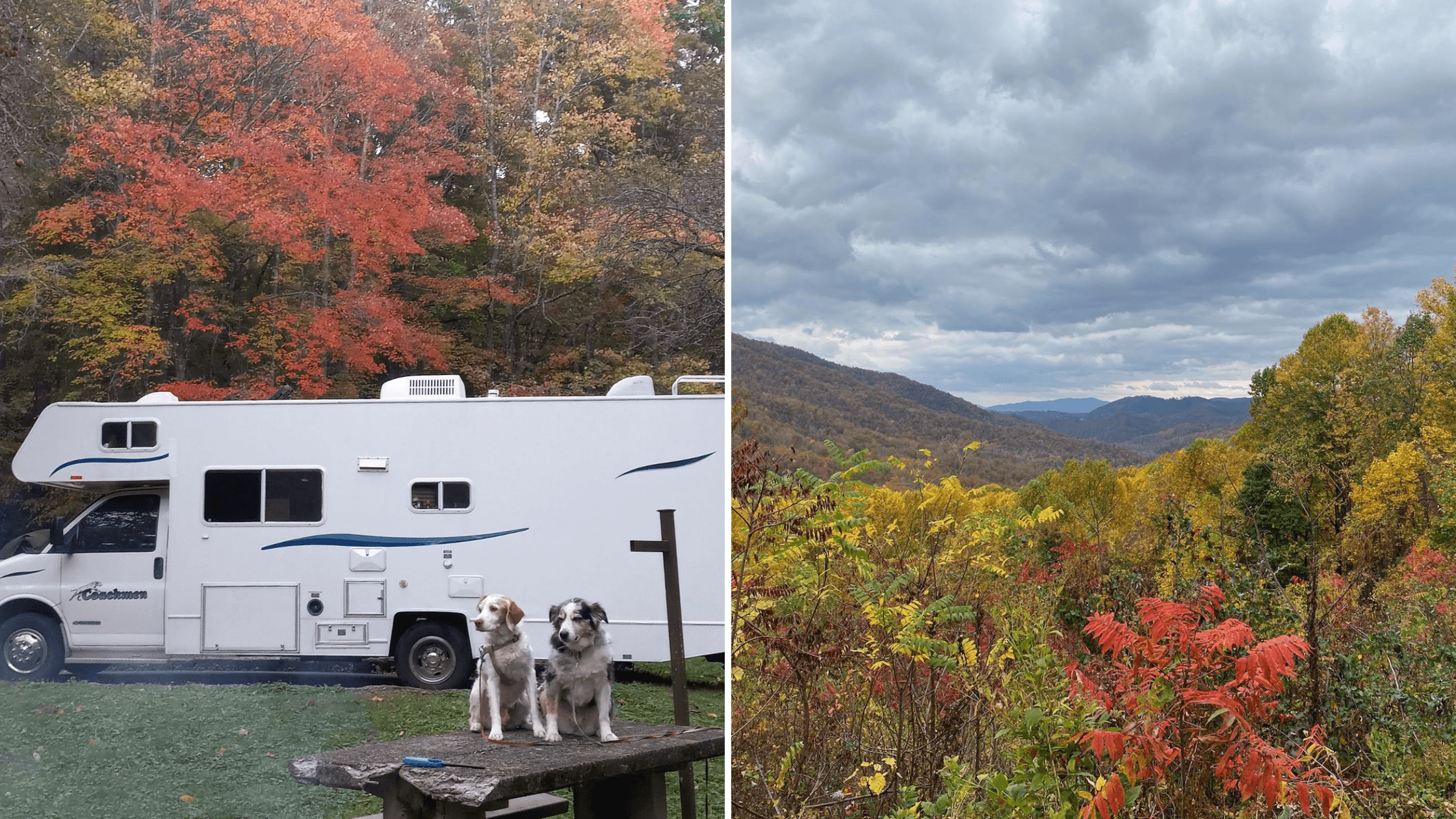  The Great Garden Escape: Chasing Fall Colors Instead of Sprouts Jenell Jones