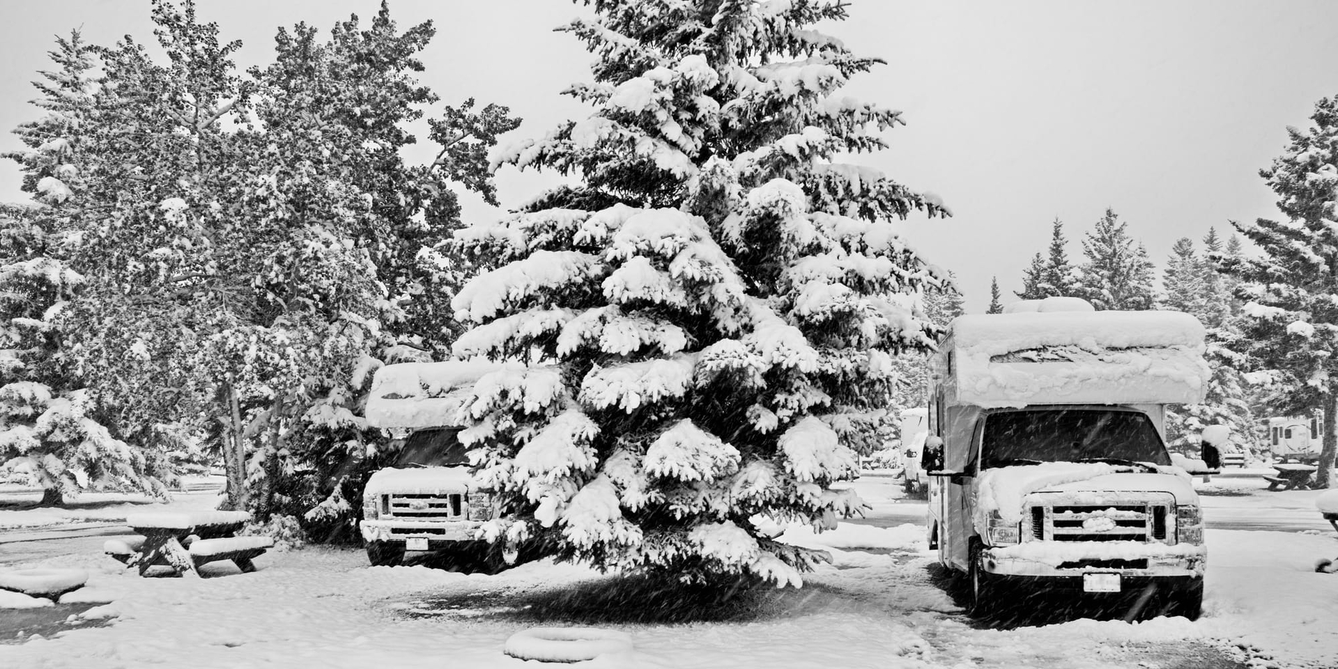 Snowy scenery with two rvs parked next to a snow-covered pine tree