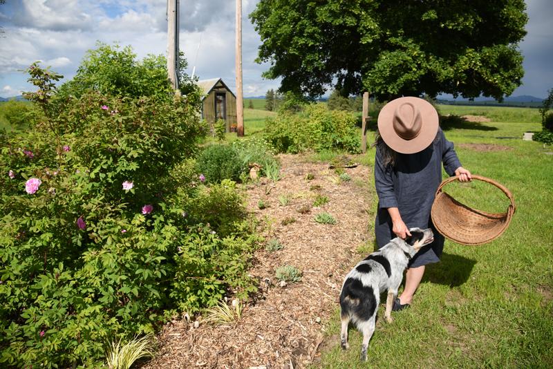 Tourism and Free Camping in the Idaho Panhandle
