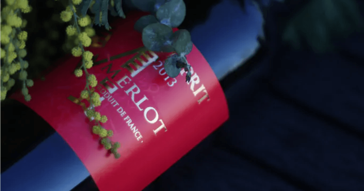 Sip on Serenity: RV Camping with Merlot Vineyards