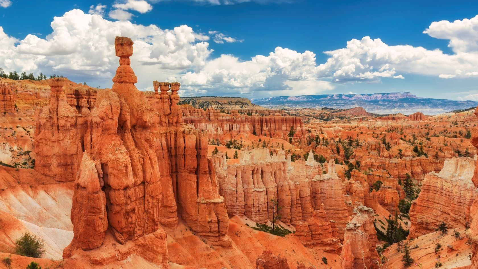 Best National Parks to Visit in the Spring