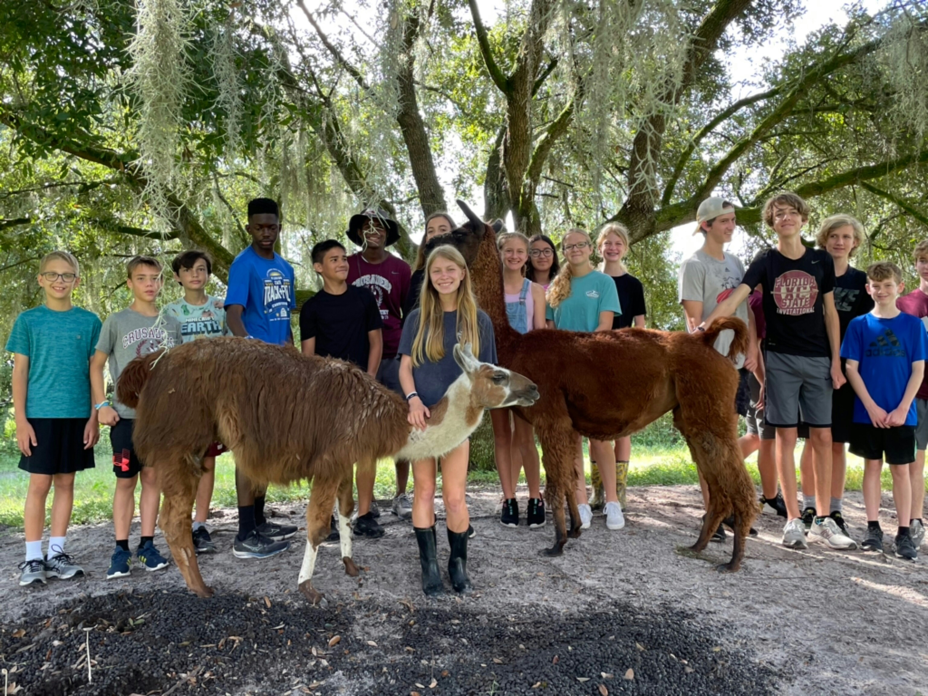 Meet the Wranglers of Roos and Coos Farm