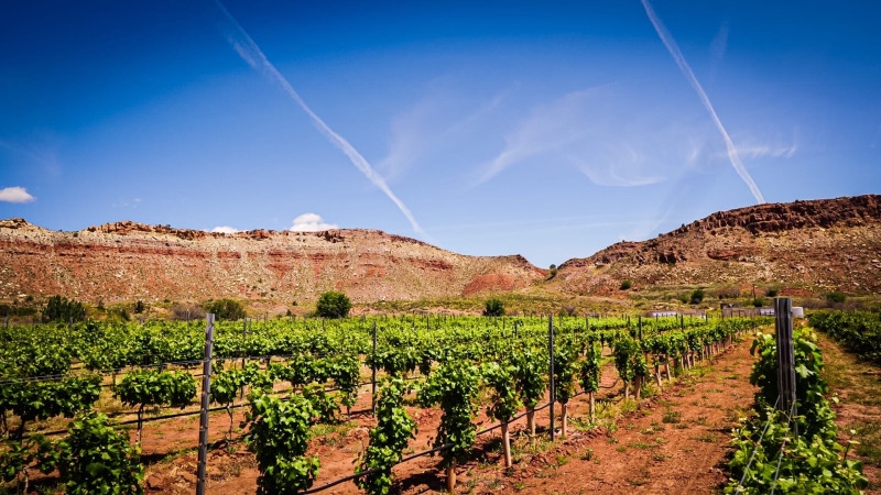 Utah Valley Oasis.jpg