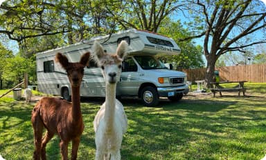 Instead of Camping Fees, Have an Experience