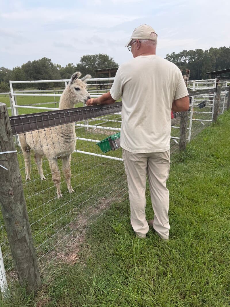 Farm stay at Charming Llama Ranch Retreat