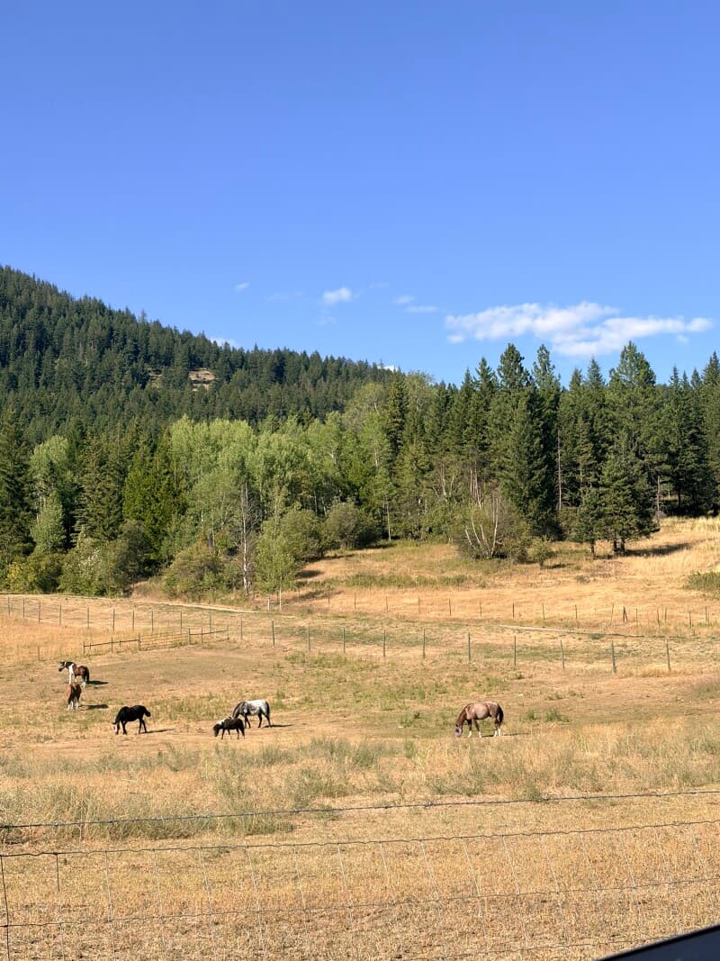 Farm stay at Scenic Mountain Valley Farm Retreat