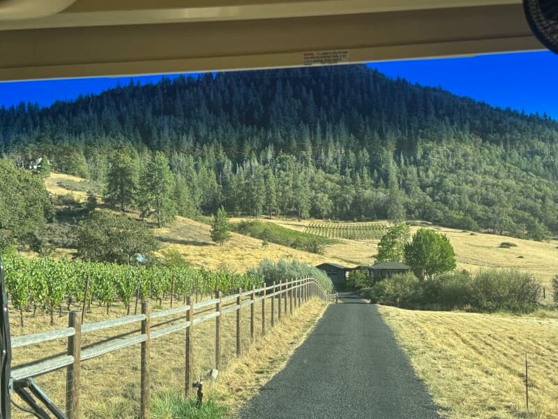 Winery stay at Organic Vineyard & Farm Retreat