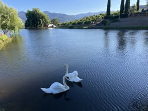 Scenic Rogue Valley Boutique Winery