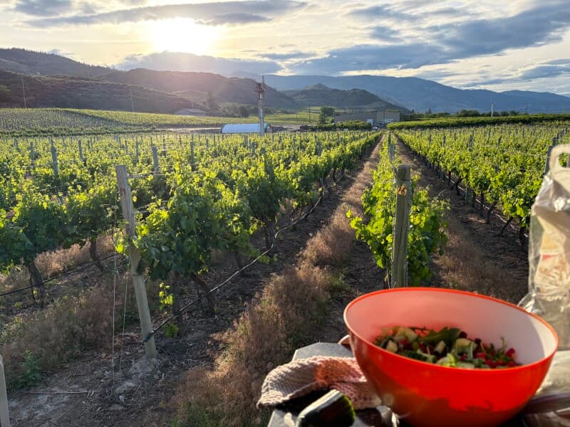 Desert Vineyard & Artisan Distillery
