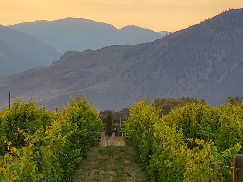 Family-Run Boutique Winery Retreat