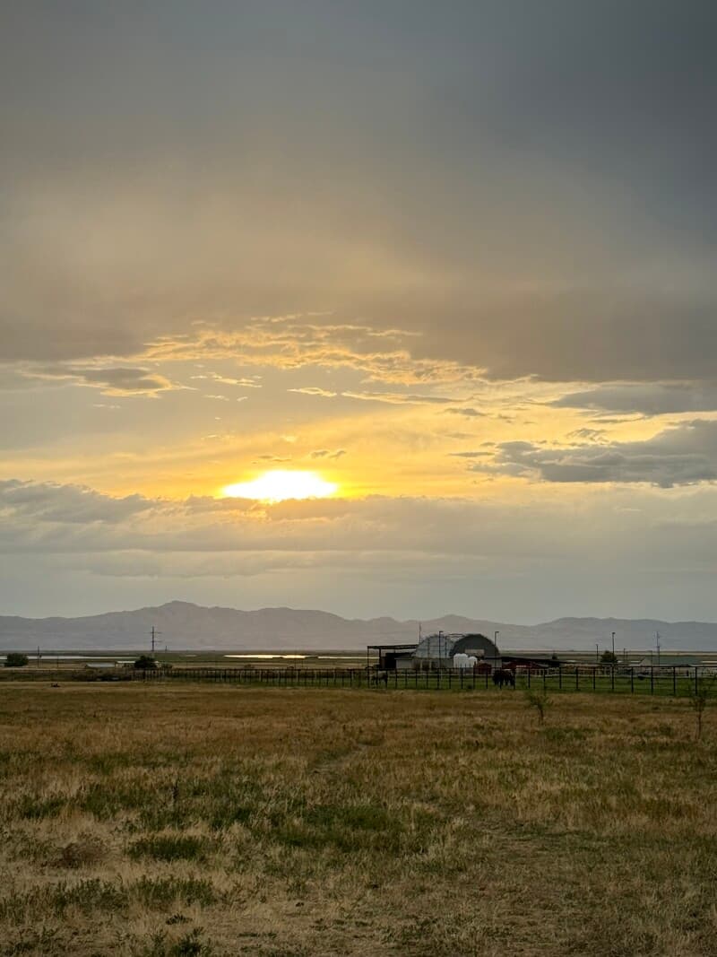 Farm stay at Mountain Foothills Horse & Goat Ranch