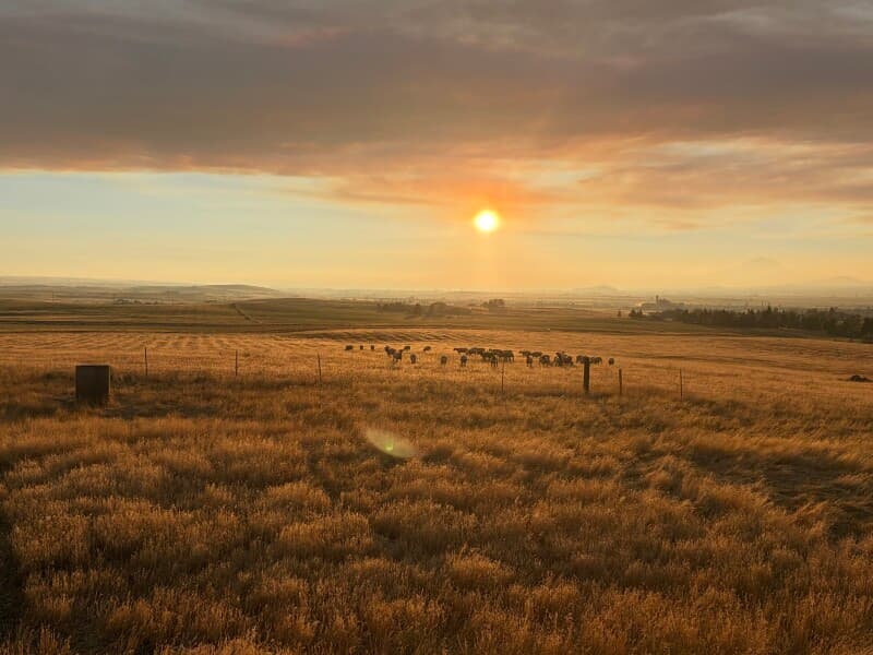 Farm stay at Working Ranch & Garden Retreat