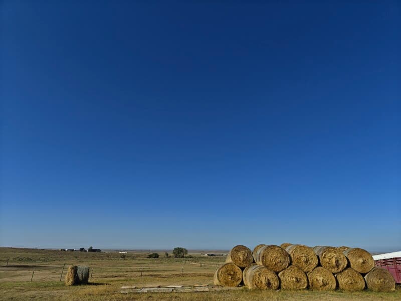 Farm stay at Scenic Goat Dairy Farm Retreat