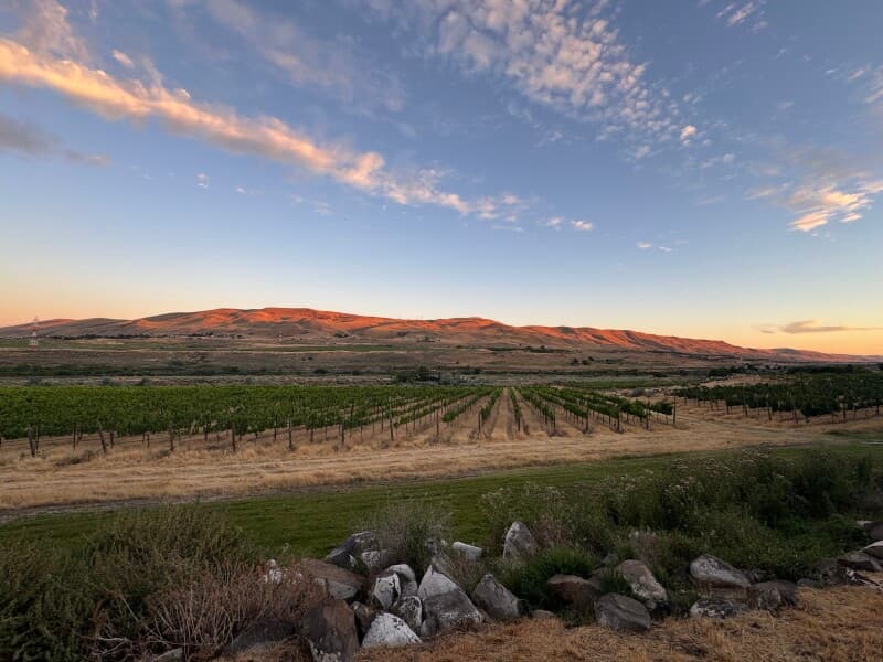 Family-Run Vineyard & Winery Retreat