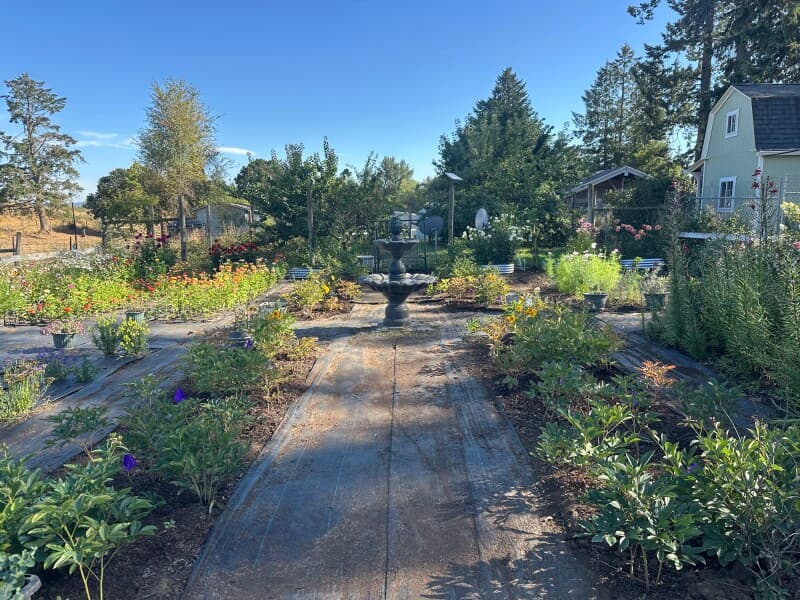 Farm stay at Tranquil Lavender Farm Retreat
