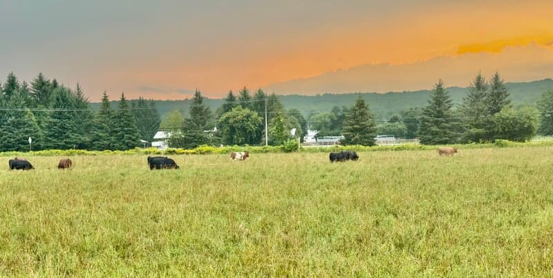 Brewery stay at Farm Brewery & Butcher Shop Stopover