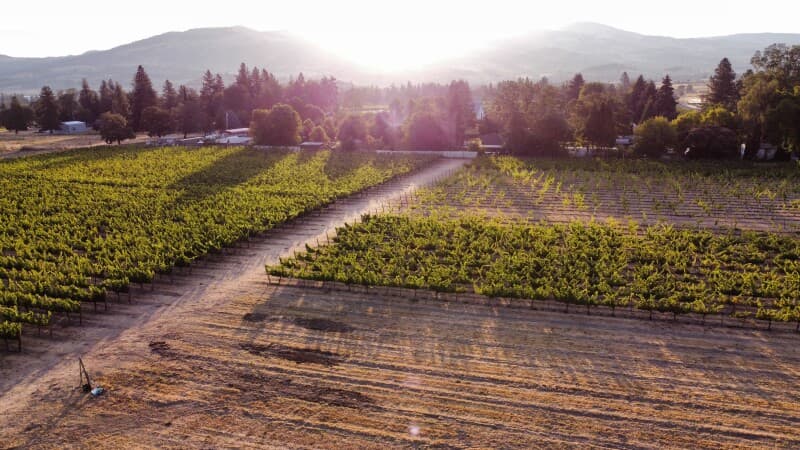 Winery stay at Welcoming Vineyard & Winery Getaway