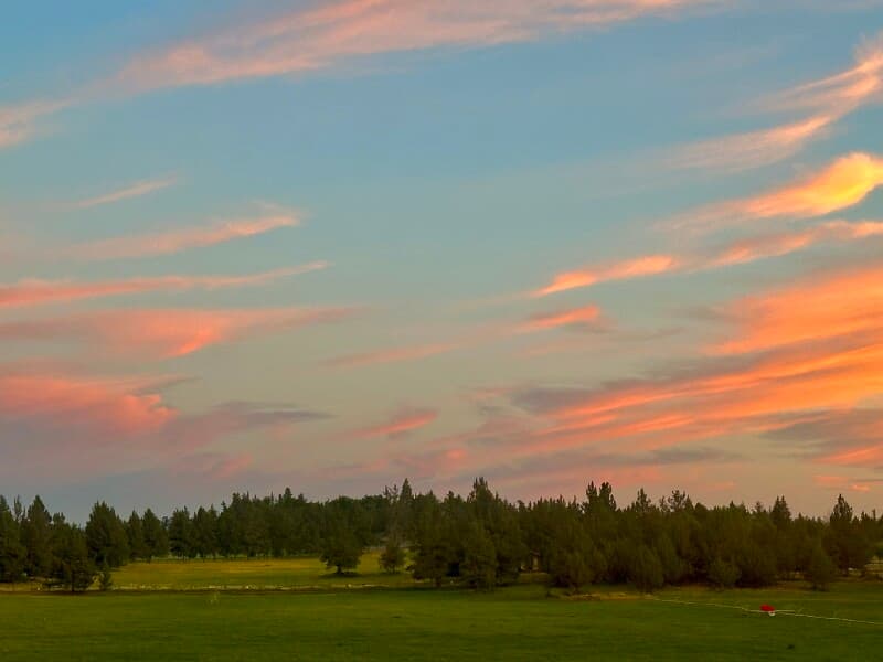 Farm stay at Harvest Hosts Farm
