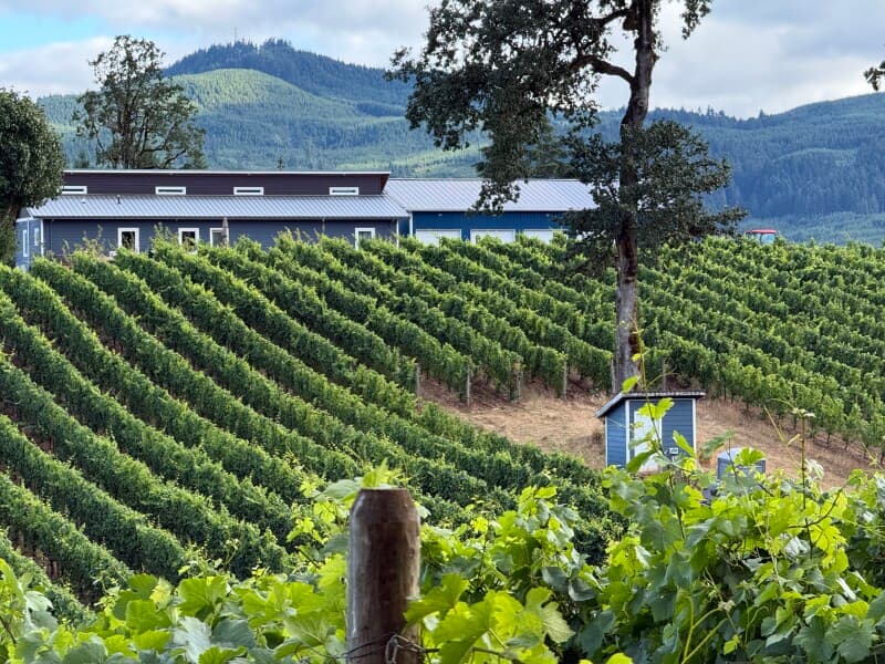 Winery stay at Scenic Hillside Vineyard & Winery