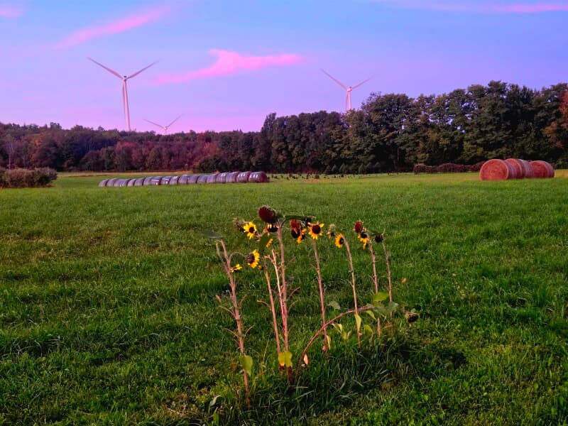 Farm stay at Historic Country Farm Retreat