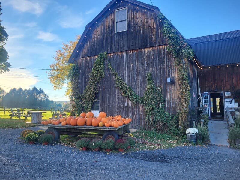 Brewery stay at Rustic Farm Distillery Retreat