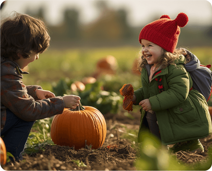 Image of a vibrant pumpkin patch filled with pumpkins at a Harvest Hosts location